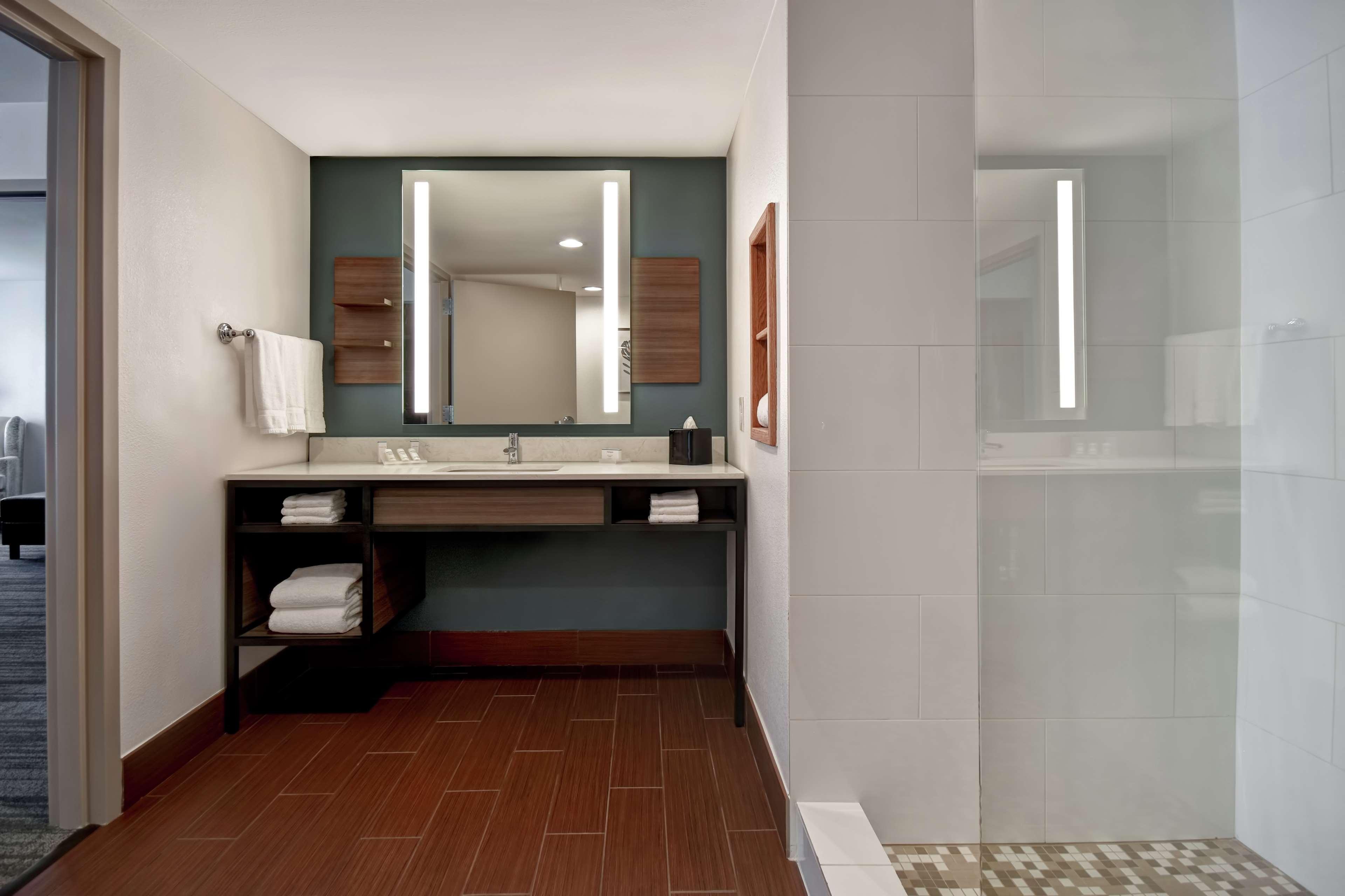 Hilton Garden Inn Houston/Galleria Area Exterior photo
