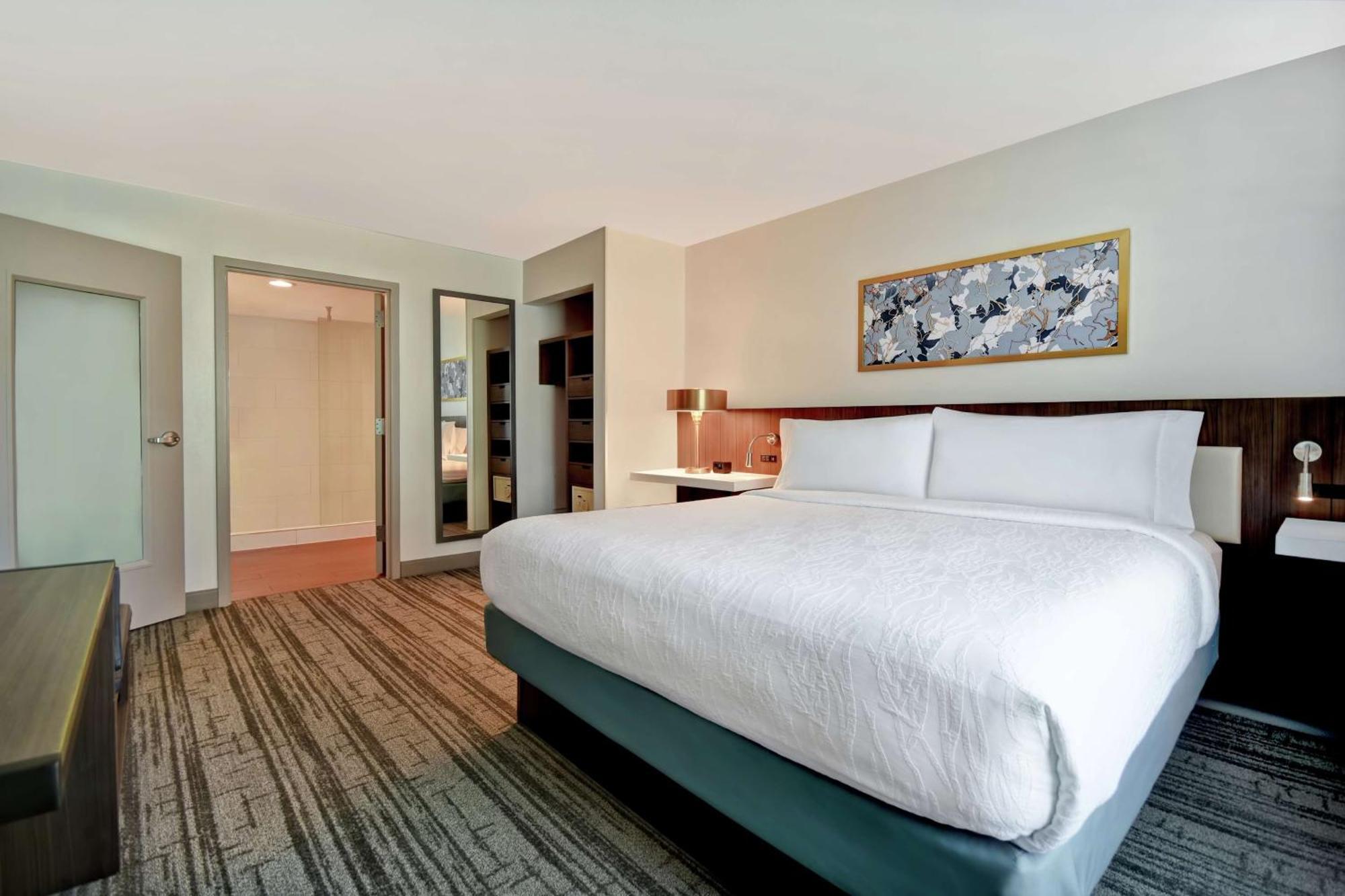 Hilton Garden Inn Houston/Galleria Area Exterior photo
