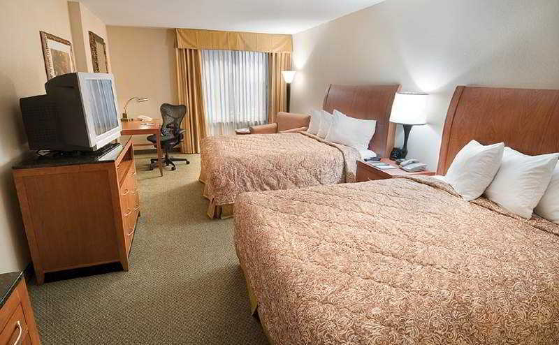 Hilton Garden Inn Houston/Galleria Area Exterior photo