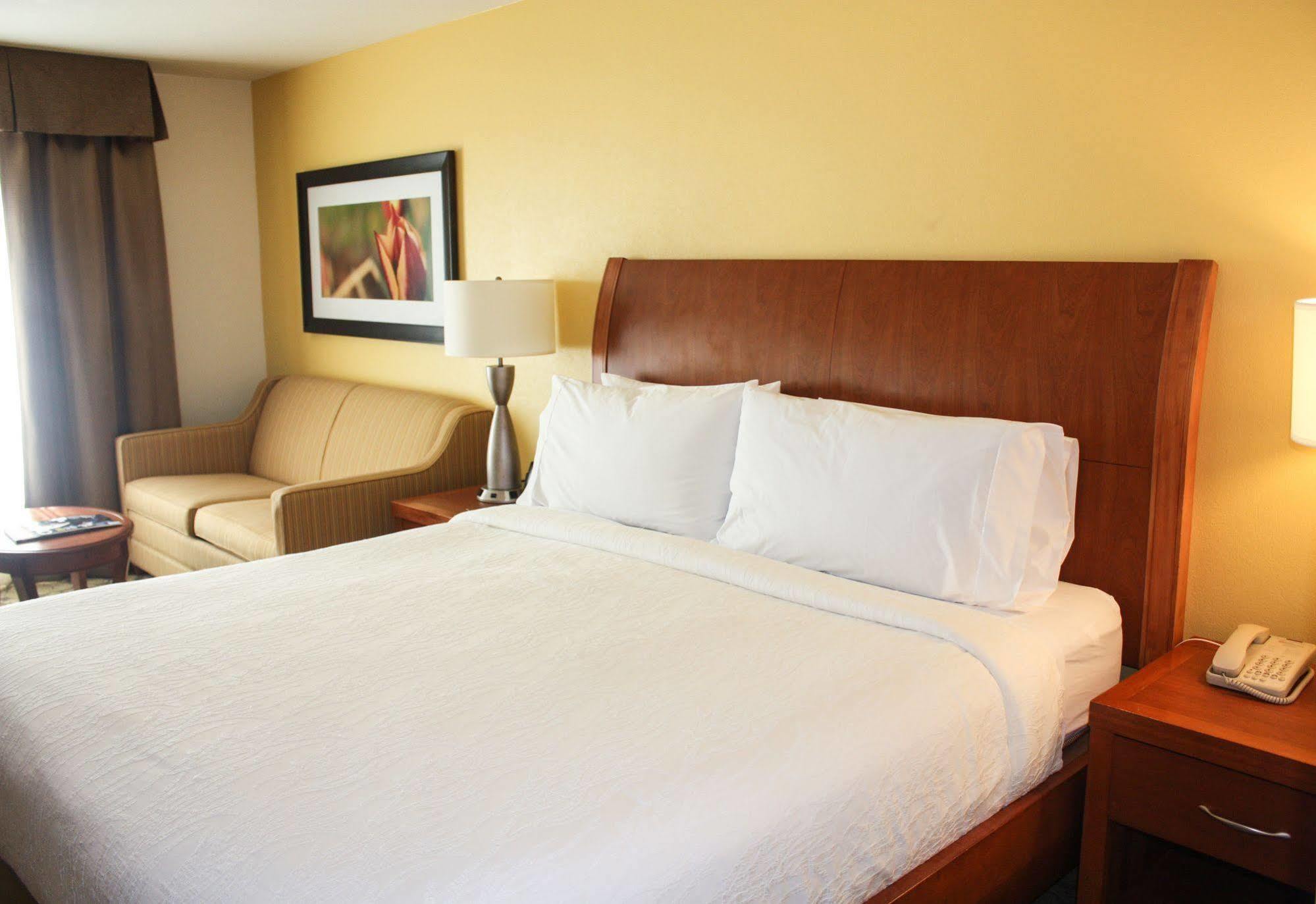 Hilton Garden Inn Houston/Galleria Area Exterior photo