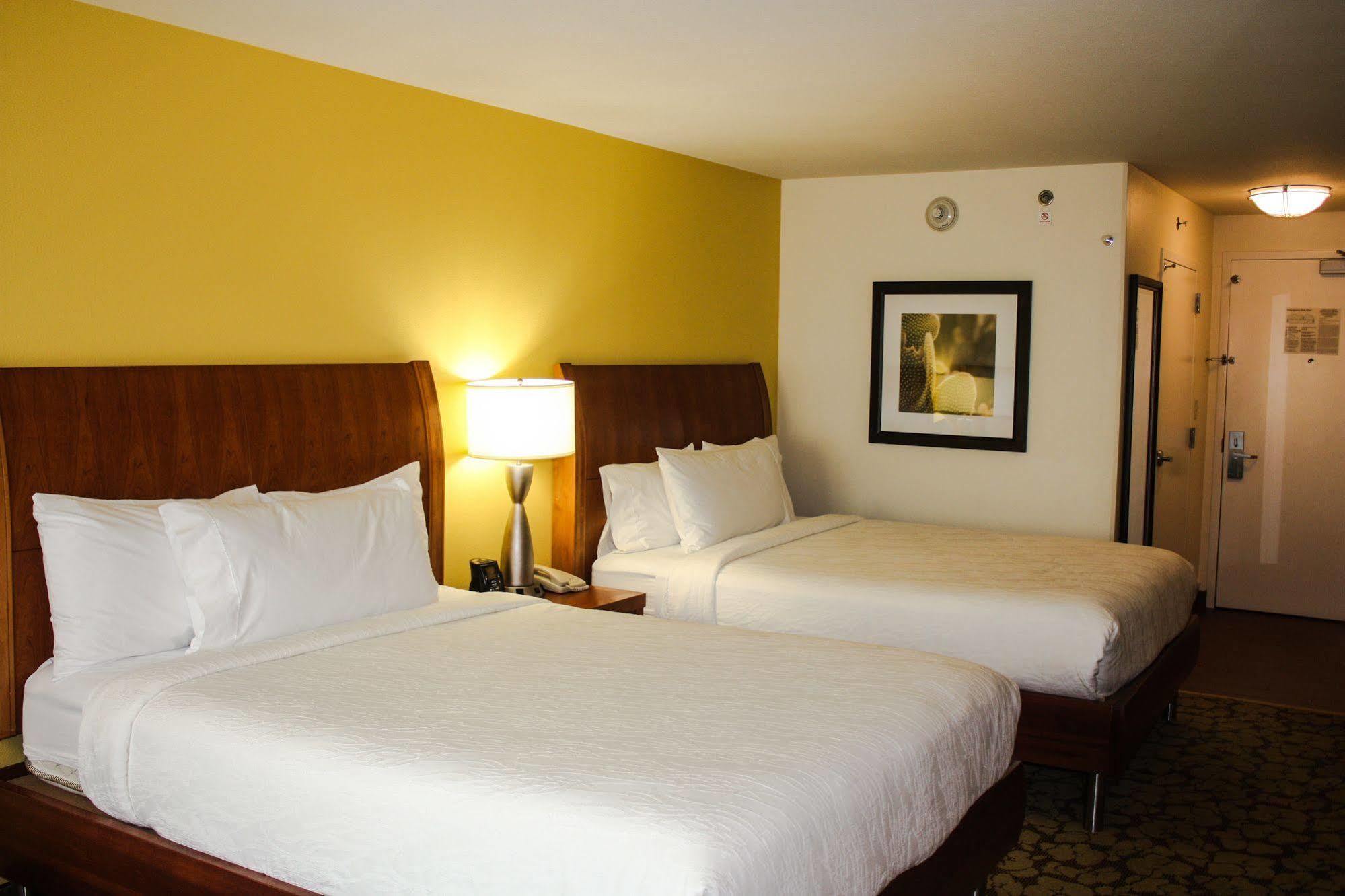 Hilton Garden Inn Houston/Galleria Area Exterior photo