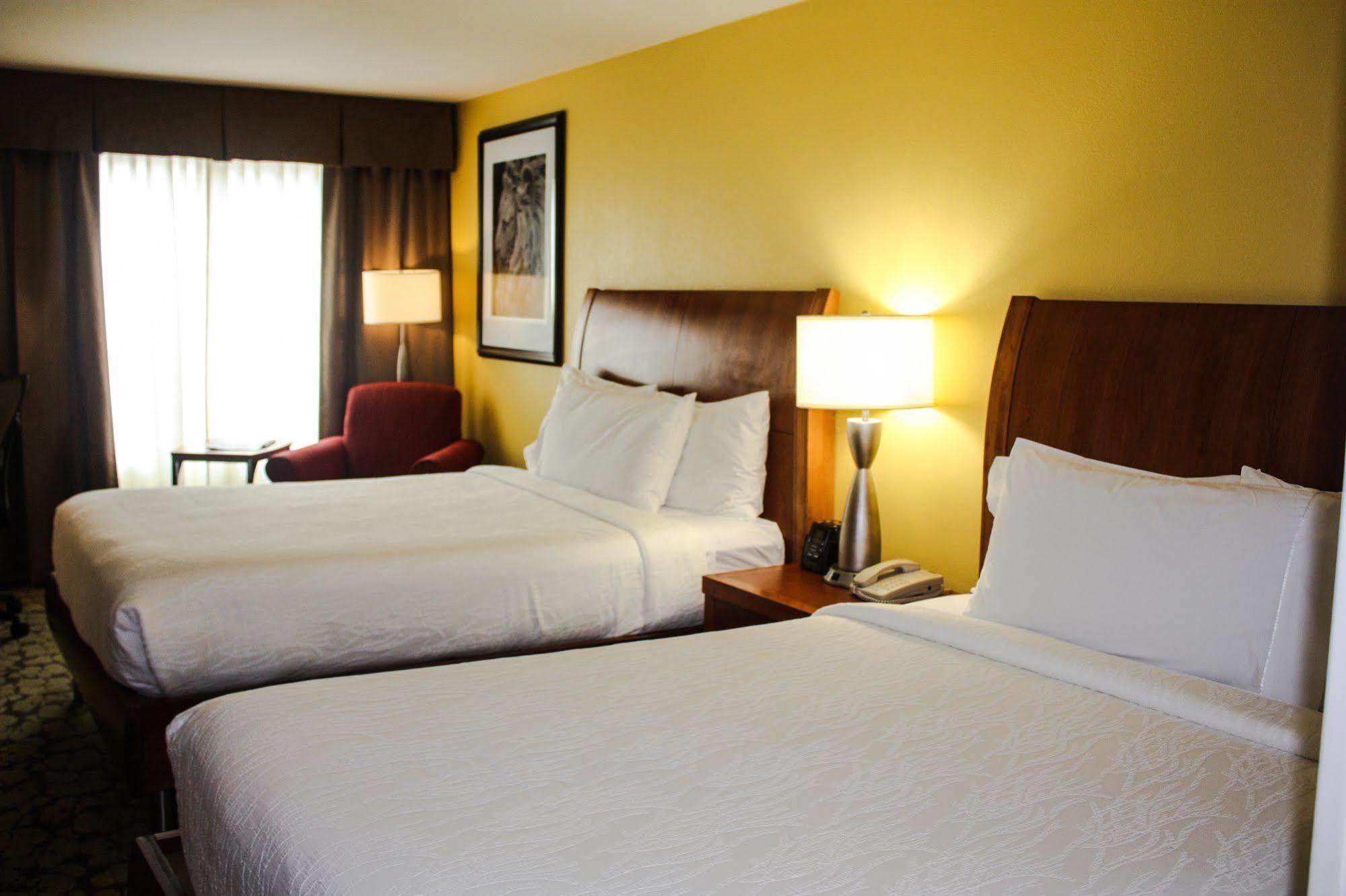 Hilton Garden Inn Houston/Galleria Area Exterior photo