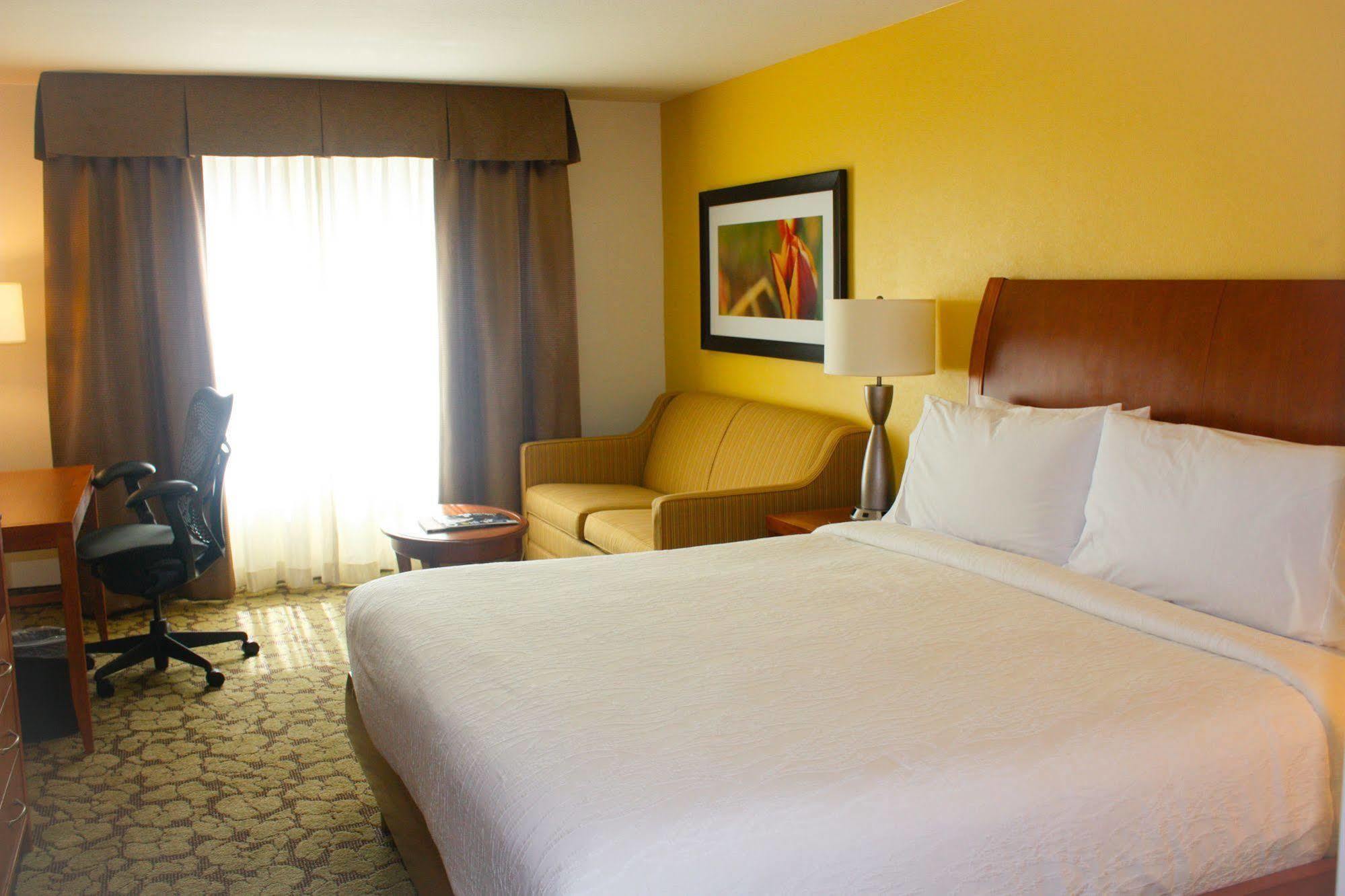 Hilton Garden Inn Houston/Galleria Area Exterior photo